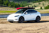 Tesla Model Y Seat Belt Extender